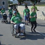eko cross 12