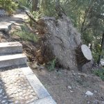 gradac park