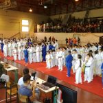 judo spinel cup