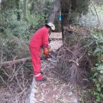 kalamota sumska staza 070617 3