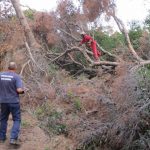 kalamota sumska staza 070617 4