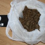 policija droga fortis 1