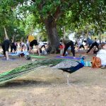 FOTO Yoga na Lokrumu 2 yoga lokrum 250617 2