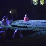 DLJI orlando10