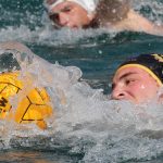 Divlja liga Prijave 3