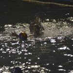 fun h201 12