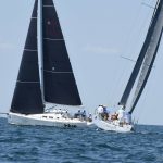 orsan svjetsko trst 19