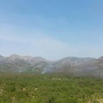 pozar cepikuce 050717 3