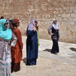 spitza djir stradunom 140717 17
