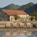 Ston Festival Soli 2