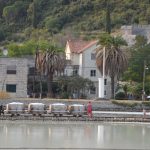 Ston Festival Soli 5
