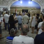 izlozba srdj017