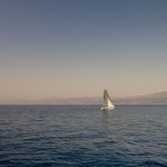 juznodalmainska regata 13