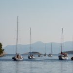 juznodalmainska regata 14