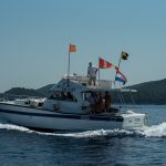 juznodalmainska regata 8
