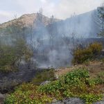 pozar gromaca orasac 1