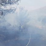 pozar gromaca orasac 4