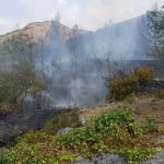pozar gromaca orasac 6