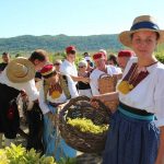 Trganje agroturizam3
