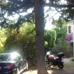 cedar vodopic omblici 1