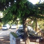 cedar vodopic omblici 3