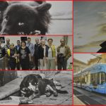 fotoklubpage