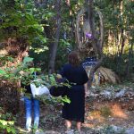 sarlotin zdenac izlozba lokrum verdart 31