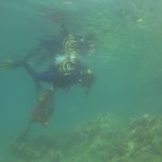 RK Dubrovnik Okuklje 13