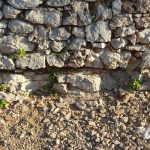 bogisic park sut 19102017