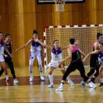 kosarka ragusa tresnjevka 8