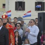 mimohod hv kolinda 313