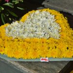 placa gruz cvijece11