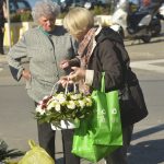placa gruz cvijece23