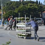 placa gruz cvijece29