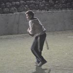 sharks006