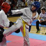tae kwon do 21102017 11