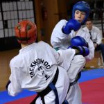 tae kwon do 21102017 14