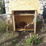 Hotel za Kukce 3