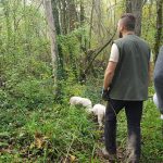 FESTIWINE CHALLENGE Istarska avantura stipendista Kristine Curić i Iva Kmetovića 6 festiwine stipendisti istra 6