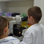laboratorij 2