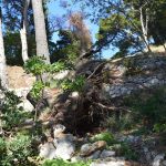 park gradac djir 04112017 14