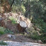 park gradac djir 04112017 20