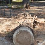park gradac djir 04112017 28