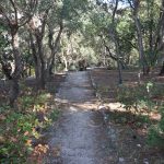 park gradac djir 04112017 39
