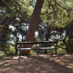 park gradac djir 04112017 48