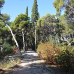 park gradac djir 04112017 51