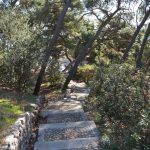 park gradac djir 04112017 53