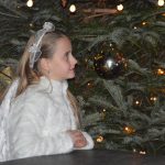 23122017 zive jaslice 2