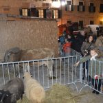 23122017 zive jaslice 32