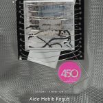 Aida Hebib DMD 2